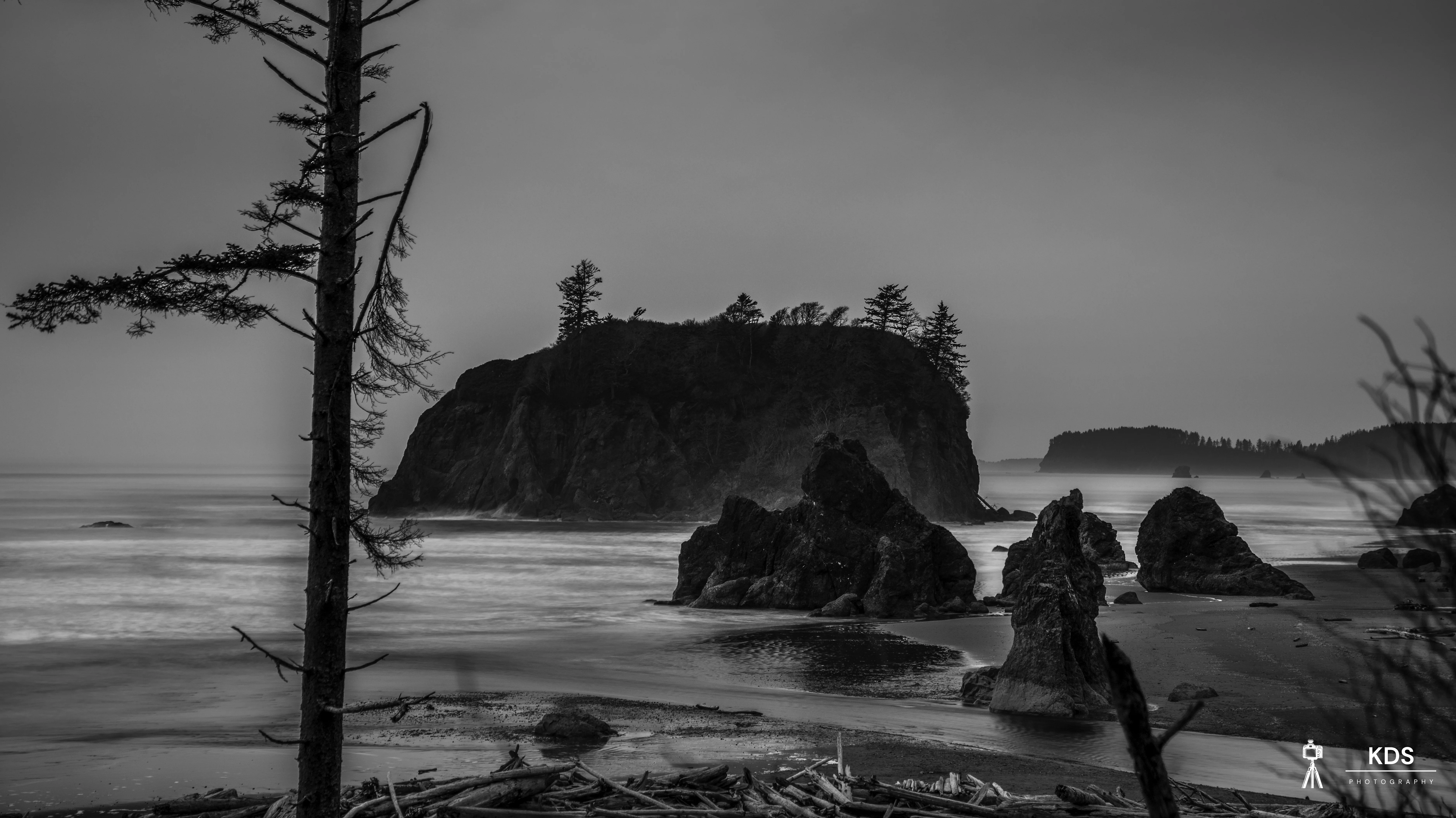 Ruby Beach B&W